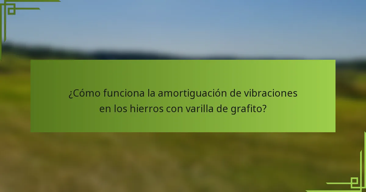 ¿Cómo funciona la amortiguación de vibraciones en los hierros con varilla de grafito?