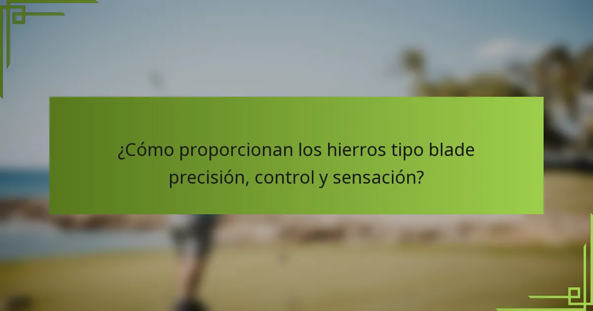 ¿Cómo proporcionan los hierros tipo blade precisión, control y sensación?