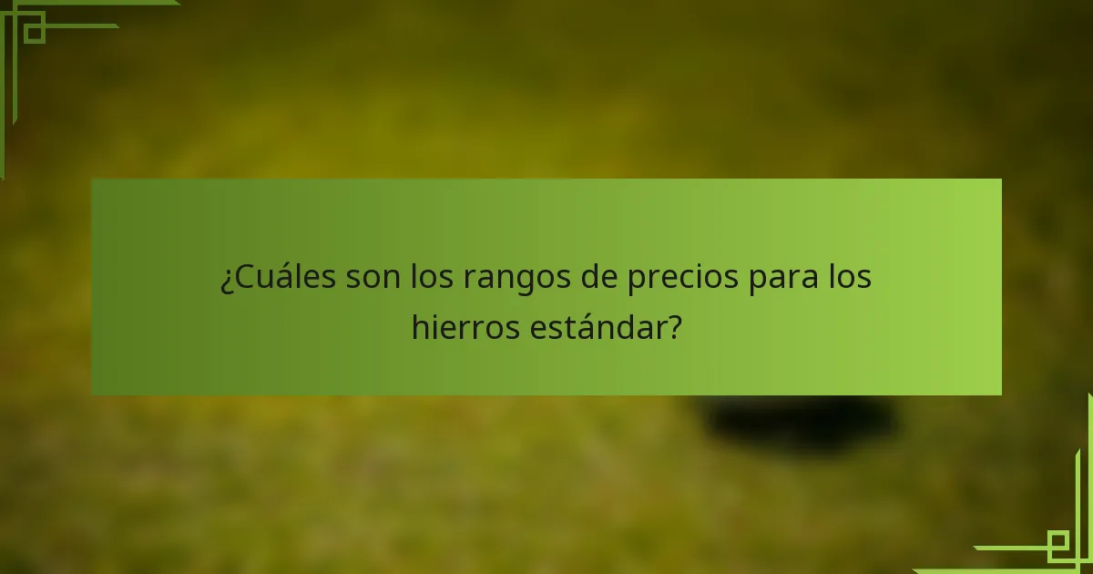 ¿Cuáles son los rangos de precios para los hierros estándar?