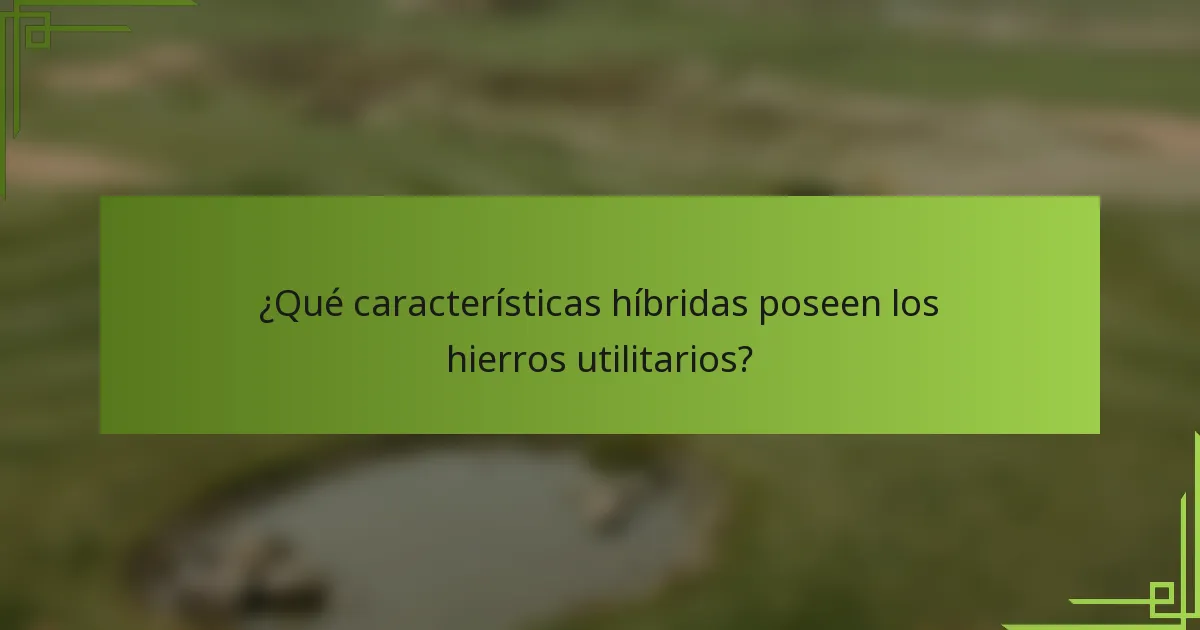 ¿Qué características híbridas poseen los hierros utilitarios?