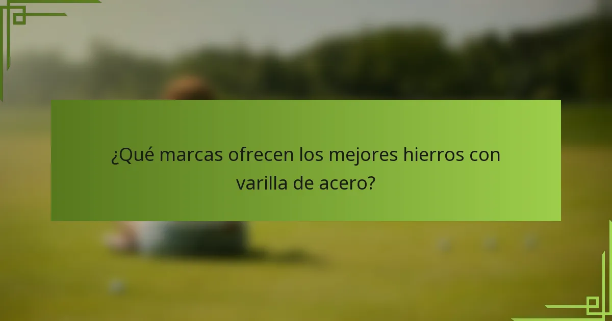 ¿Qué marcas ofrecen los mejores hierros con varilla de acero?