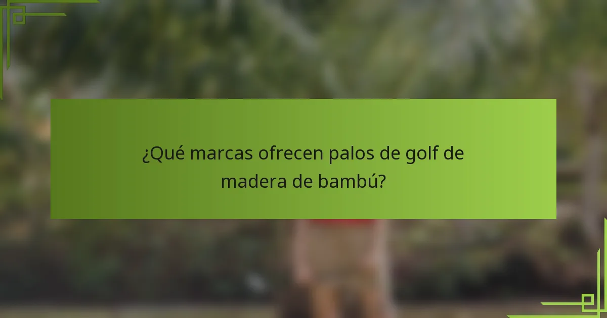 ¿Qué marcas ofrecen palos de golf de madera de bambú?